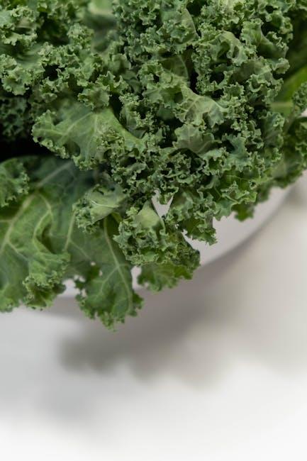 Choosing Between Folate and Folic Acid ‍for Optimal Health Benefits