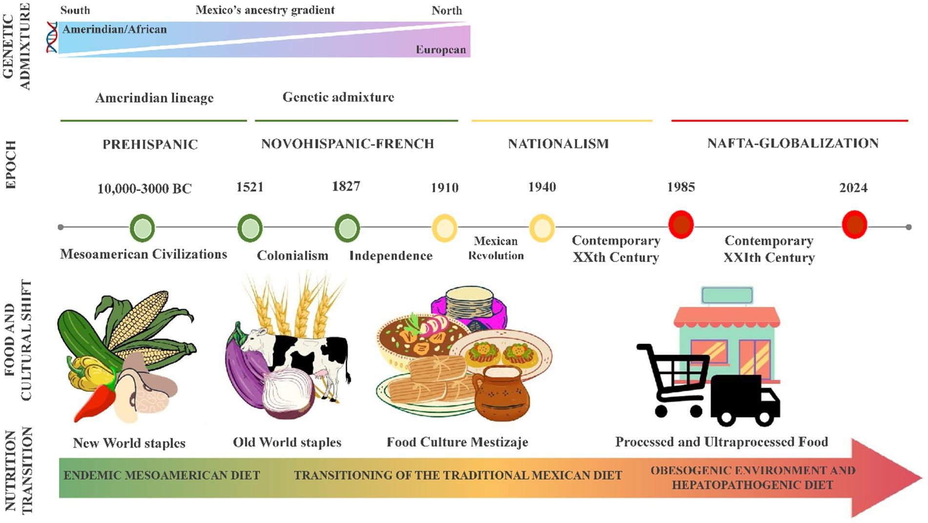 Unlocking the Potential of‌ Personalized Nutrition Through DNA insights
