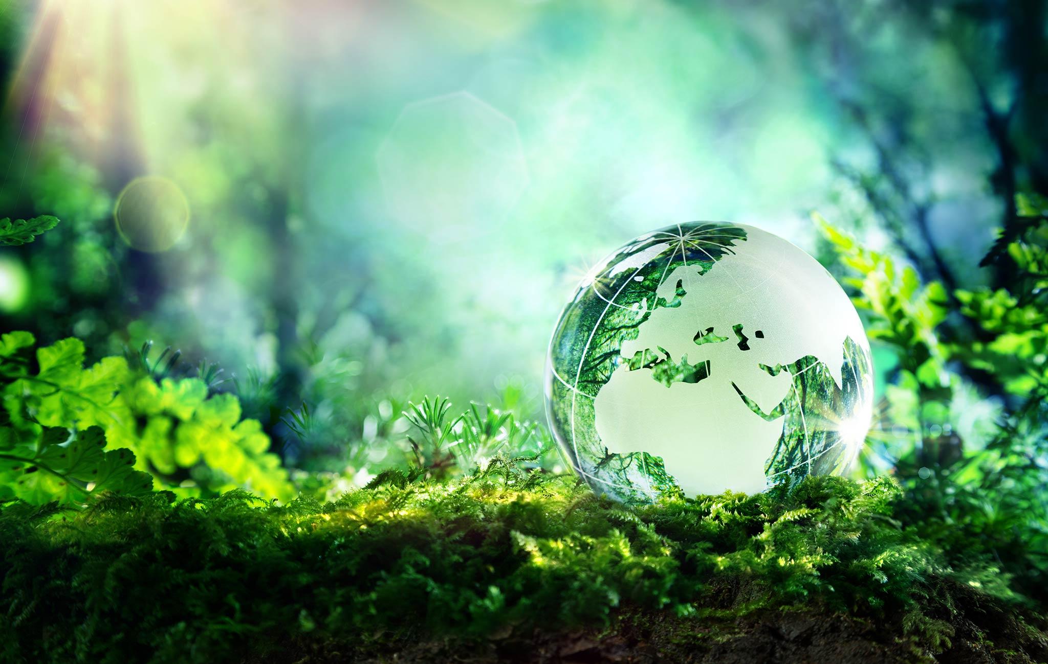 Sustainability and Sourcing: ⁤the Journey from orchard to Table