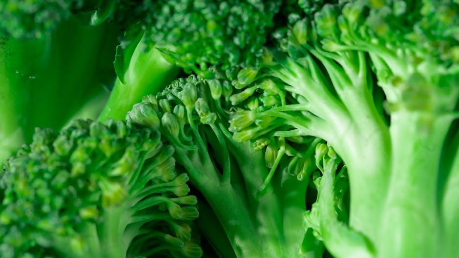 maximizing ⁣Energy Levels on a Low-carb Diet