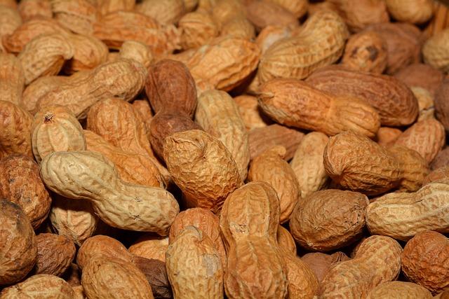 Energizing Options: ⁢Nutrient-Rich Snacks to Boost Productivity