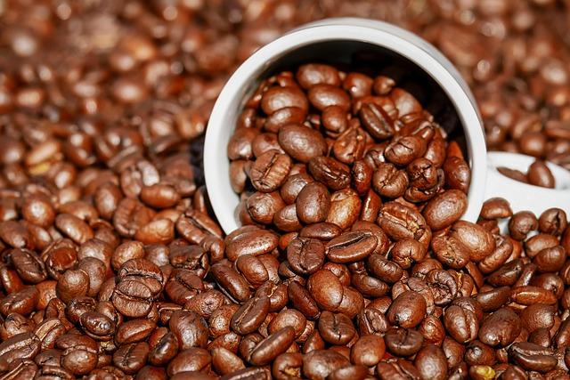 incorporating Iron-Rich Foods: Enhancing supplementation for Optimal Benefits