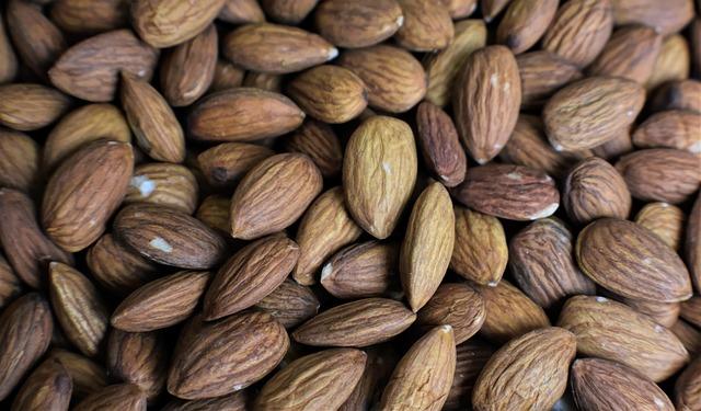 harnessing the Benefits: Performance and Recovery with Vegan Protein