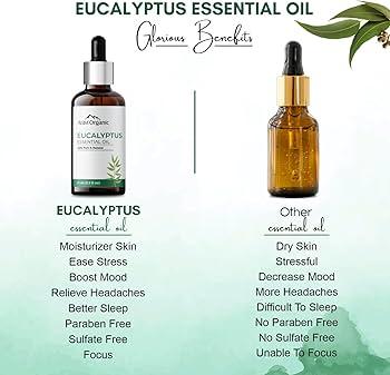 The Aromatic‌ Benefits⁣ of Eucalyptus for Mind and Body
