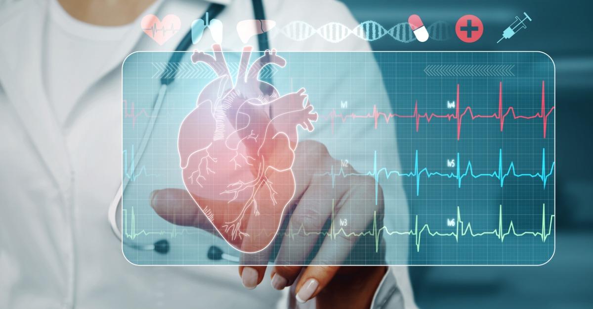 Understanding⁤ the Comprehensive⁤ Health Metrics⁤ Offered