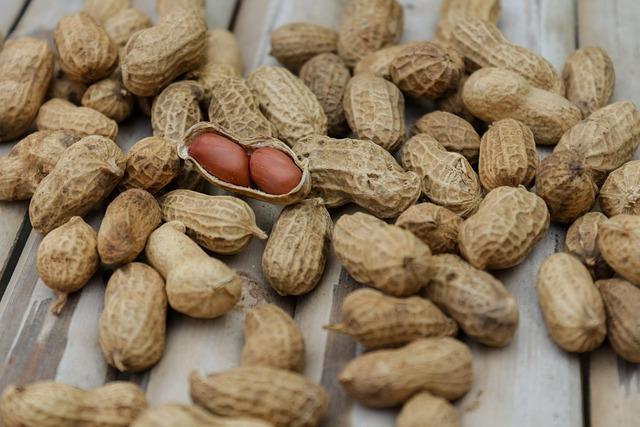 Cost-Effective Nutrition: Balancing ​Quality and Affordability