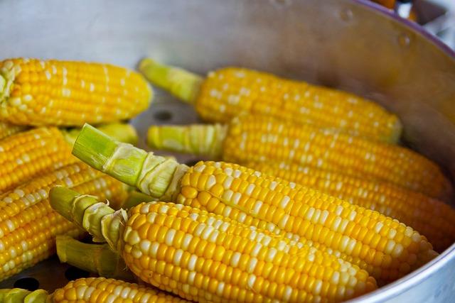 Evaluating Quality: A Closer Look at Ingredient Sourcing ‍and Preparation
