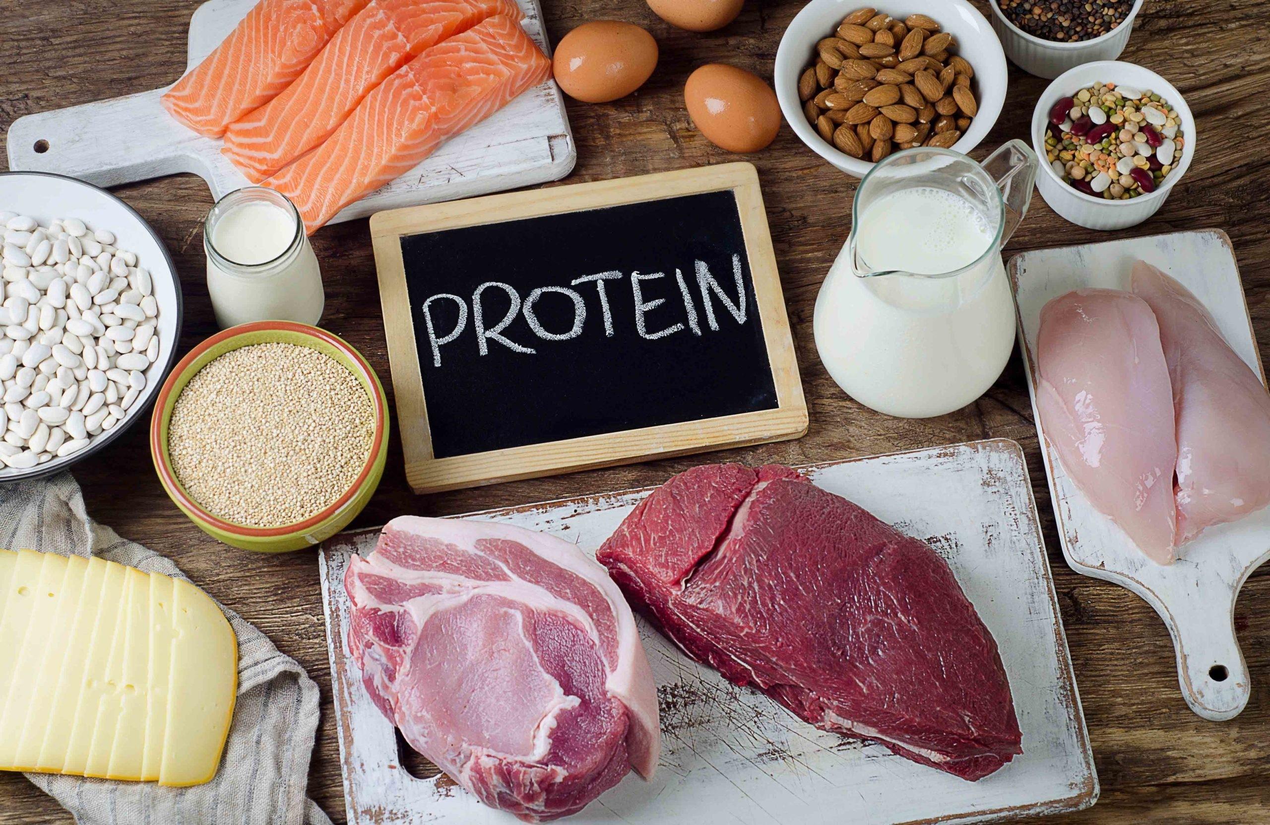 Recommendations for Incorporating Protein into Your Daily Routine