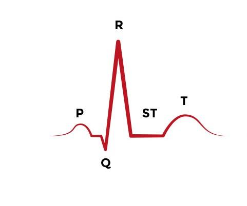 Medical Precision at Your Fingertips: Exploring ‌ECG and Health Monitoring Features