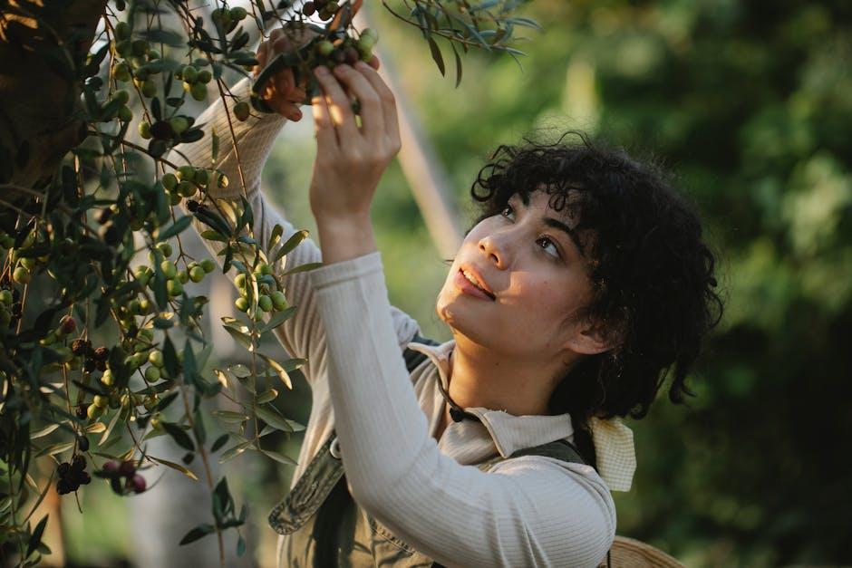The Nourishing Ingredients Behind OSEA's Winter wonder
